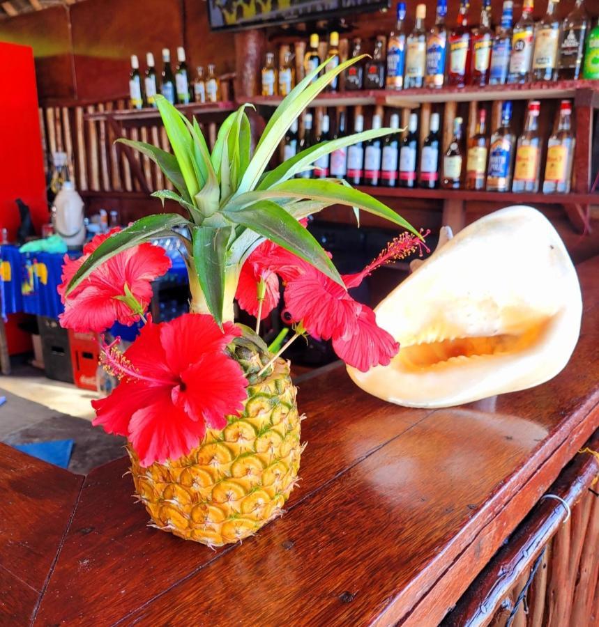 Sipano Beach Lodge Kiwengwa Кивенгва Экстерьер фото