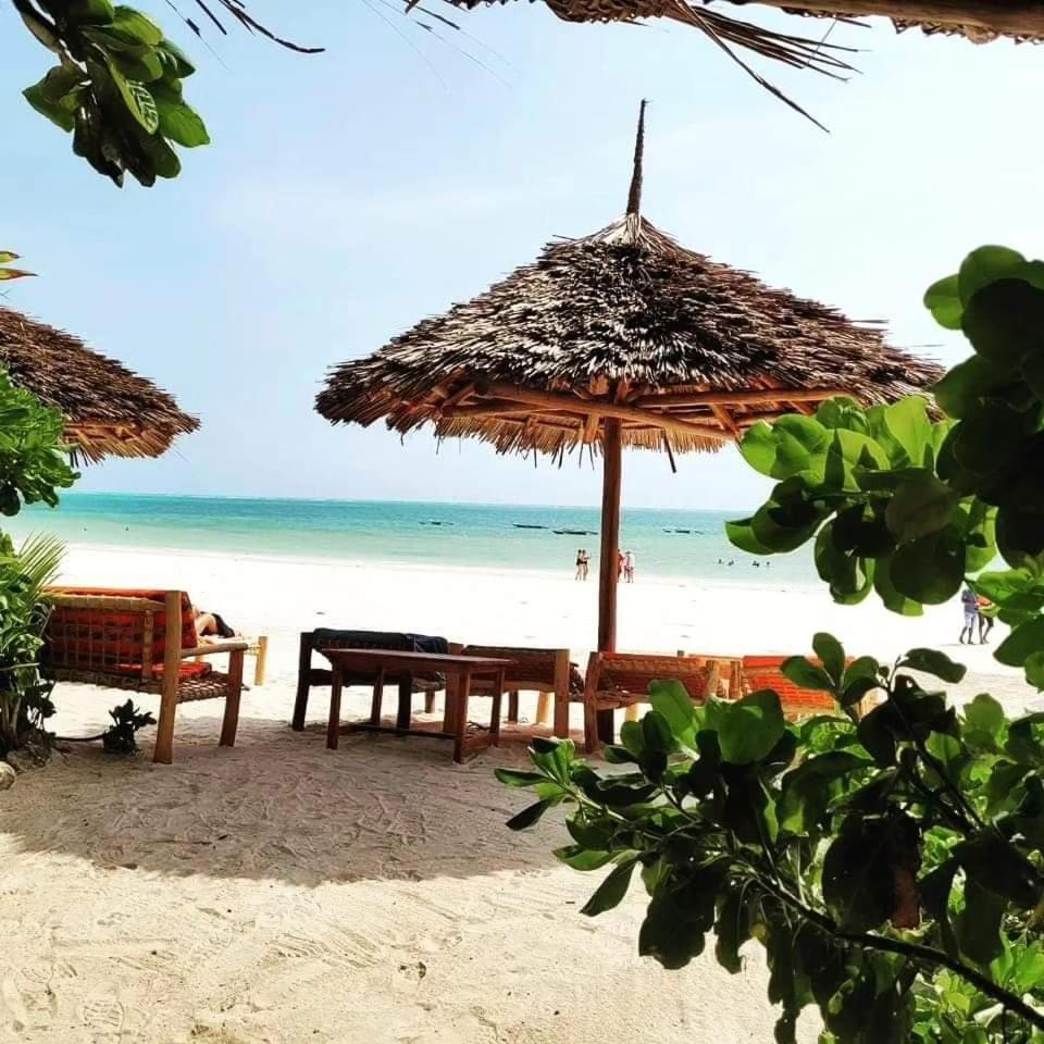 Sipano Beach Lodge Kiwengwa Кивенгва Экстерьер фото